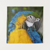 Blue And Gold Parrot Wandteppich (Vorderseite)