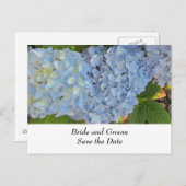 Blue and Mauve Wedding Hydrangeas Ankündigungspostkarte (Vorne/Hinten)