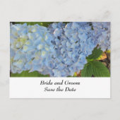 Blue and Mauve Wedding Hydrangeas Ankündigungspostkarte (Vorderseite)