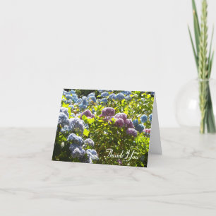 Blue and Pink Hydrangea Vielen Dank Dankeskarte