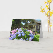 Blue and Pink Hydrangeas - Martha's Vineyard Karte (Gelbe Blume)