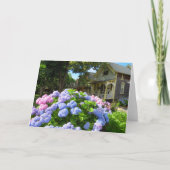 Blue and Pink Hydrangeas - Martha's Vineyard Karte (Vorderseite)