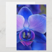 Blue and Pink Orchid Briefpapier (Vorne/Hinten)