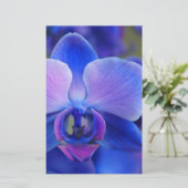 Blue and Pink Orchid Briefpapier (Stehend Vorderseite)