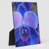 Blue and Pink Orchid Fotoplatte (Seite)