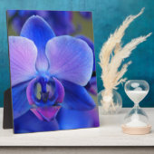 Blue and Pink Orchid Fotoplatte (Seite)