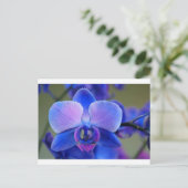 Blue and Pink Orchid Postkarte (Stehend Vorderseite)