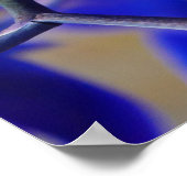 Blue and Pink Orchids Poster (Ecke)