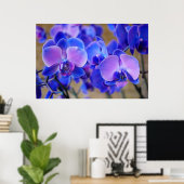 Blue and Pink Orchids Poster (Heimbüro)