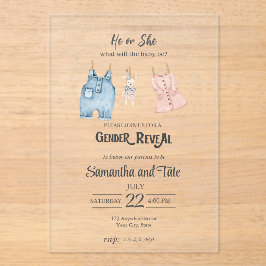 Blue and Pink Watercolor Gender Acrylic Invitation Acryleinladungen