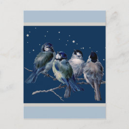Blue and Silver Christmas Night Postcard Feiertagspostkarte