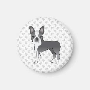 Blue and White Boston Terrier Cartoon Dog & Paws Magnet