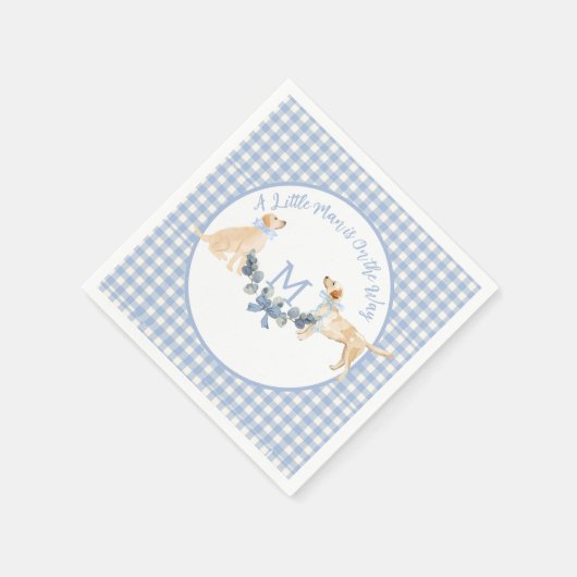 Blue and White Gingham Baby Dusche Begrüßungszeich Serviette (Ecke)