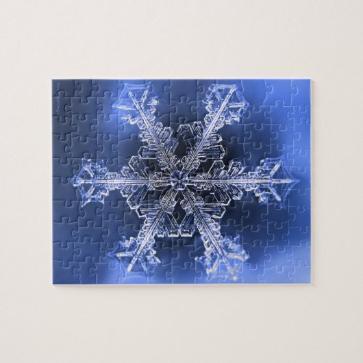 Blue and White Real Snowflake Hard Jigsaw Puzzle (Horizontal)