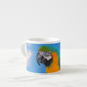 Blue and yellow macaw espressotasse