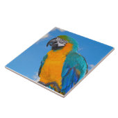 Blue and yellow macaw fliese (Seite)