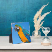 Blue and yellow macaw fotoplatte (InSitu)