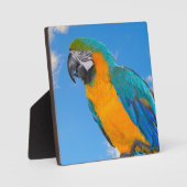Blue and yellow macaw fotoplatte (Vorderseite)