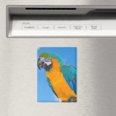 Blue and yellow macaw magnet (In Situ (Geschirrspüler))