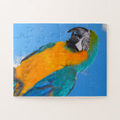Blue and yellow macaw puzzle (Horizontal)