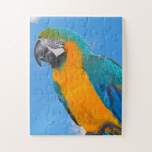 Blue and yellow macaw puzzle