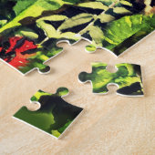 Blue and yellow macaw puzzle (Seite)