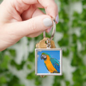 Blue and yellow macaw schlüsselanhänger (Hand)