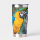 Blue-and-Yellow Macaw Thermobecher (Links)