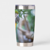 Blue-and-Yellow Macaw Thermobecher (Rückseite)