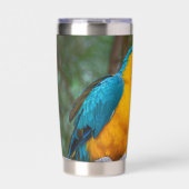 Blue-and-Yellow Macaw Thermobecher (Vorderseite)