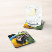 Blue and yellow macaw untersetzer (Rechte Seite)