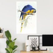 Blue and Yellow Maccaw von Edward Lear Poster (Heimbüro)
