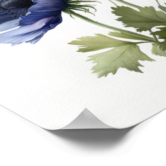 Blue Anemone Blume Art Print Poster (Ecke)