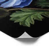 Blue Anemone Blume Art Print Poster (Ecke)