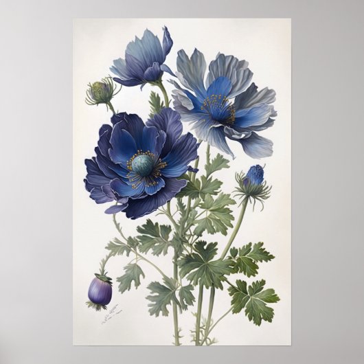 Blue Anemone Blume Art Print Poster (Vorne)