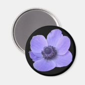 Blue Anemone Blume Magnet (Vorderseite/Rückseite)