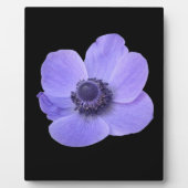 Blue Anemone Plaque Fotoplatte (Vorderseite)