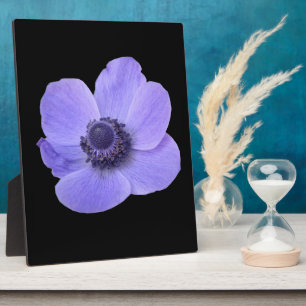 Blue Anemone Plaque Fotoplatte
