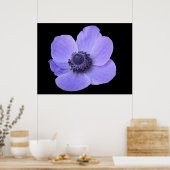 Blue Anemone Poster (Küche)
