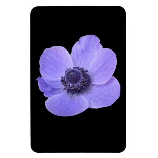 Blue Anemone Premium Magnet (Vertikal)