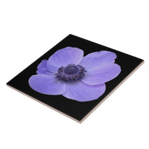 Blue Anemone Tile Fliese