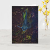 "Blue Angelfish" Get Well Card Karte (Gelbe Blume)