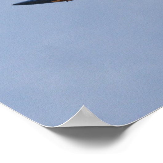 Blue Angels FA-18 Poster (Ecke)