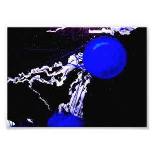 "Blue Angels" Fotodruck