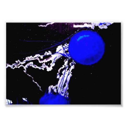 "Blue Angels" Fotodruck (Vorne)