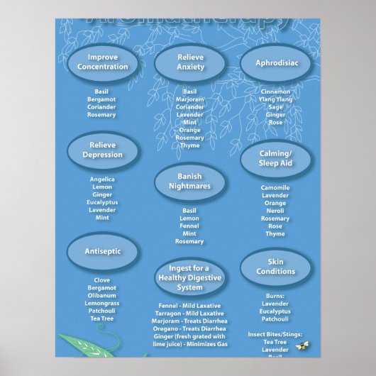 Blue Aromatherapy Chart Poster (Vorne)