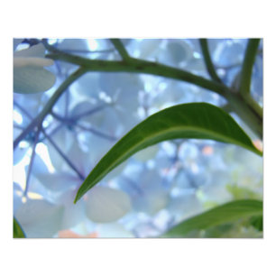 Blue Art druckt Natur Hydrangea Blumenwerk Fotodruck
