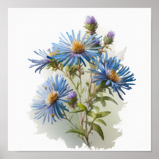 Blue Aster Blumen Art Print Poster (Vorne)