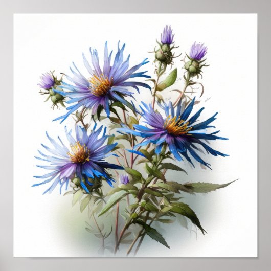 Blue Aster Blumen Art Print Poster (Vorne)