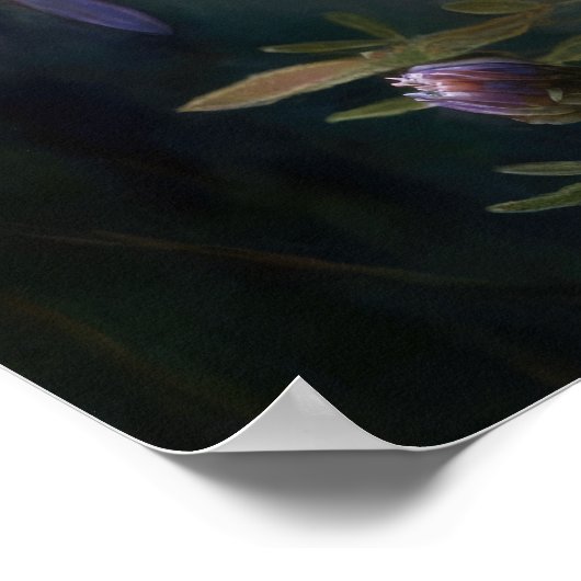 Blue Aster Blumen Art Print Poster (Ecke)